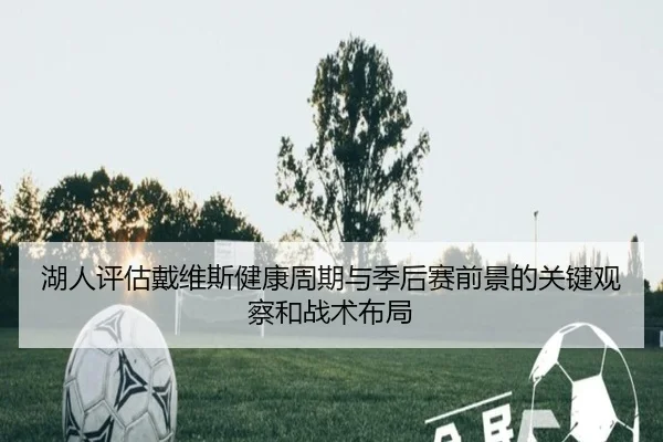 湖人评估戴维斯健康周期与季后赛前景的关键观察和战术布局 | kaiyun