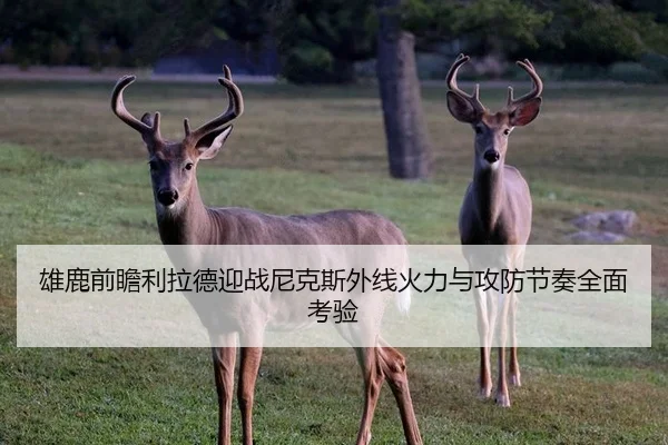 雄鹿前瞻利拉德迎战尼克斯外线火力与攻防节奏全面考验（kaiyun）